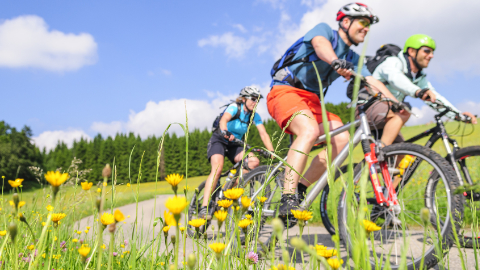 Drei Radfahrer fahren in der Natur auf dem Weg Drei Radfahrer fahren in der Natur auf dem Weg